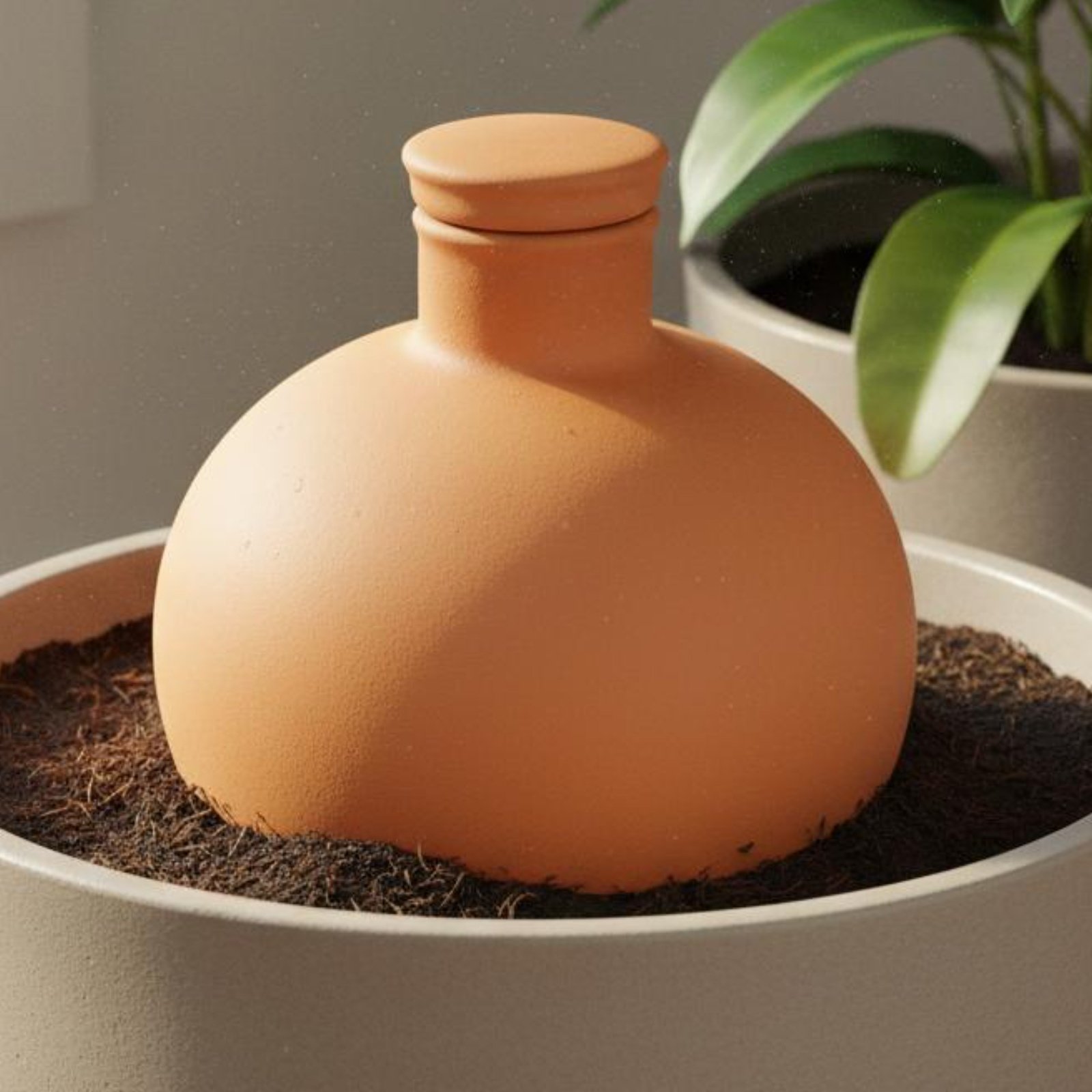 Terracotta Pot - 2 штуки терракотовых горшков-олл для легкого
