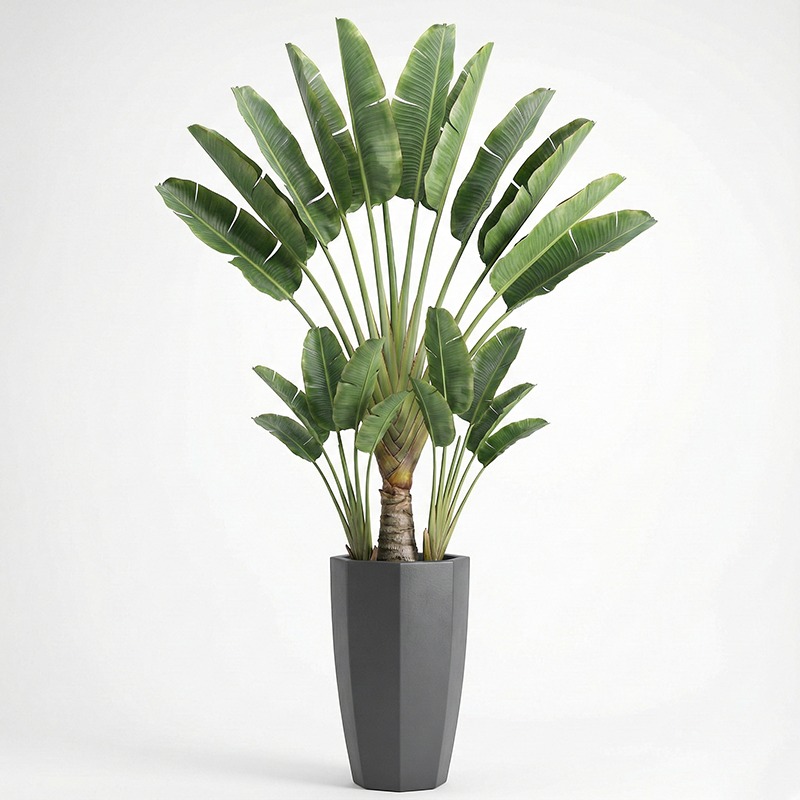 Fiddle Leaf Fig - Высокореалистичное искусственное дерево фикус лирата (Fiddle