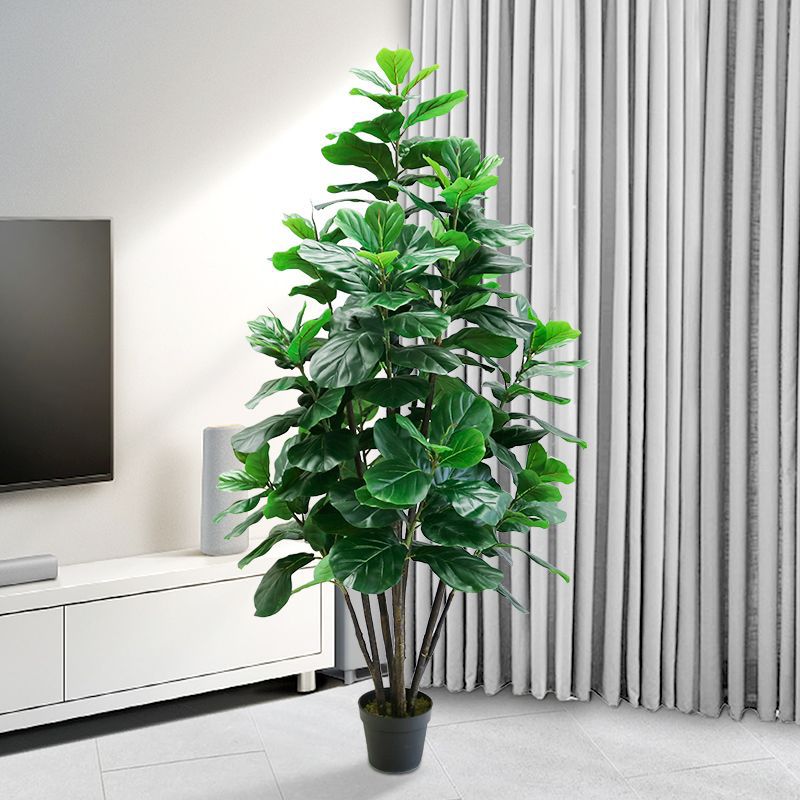 Fiddle Leaf Fig - Искусственное тропическое дерево Фикус Лирата, 35-150