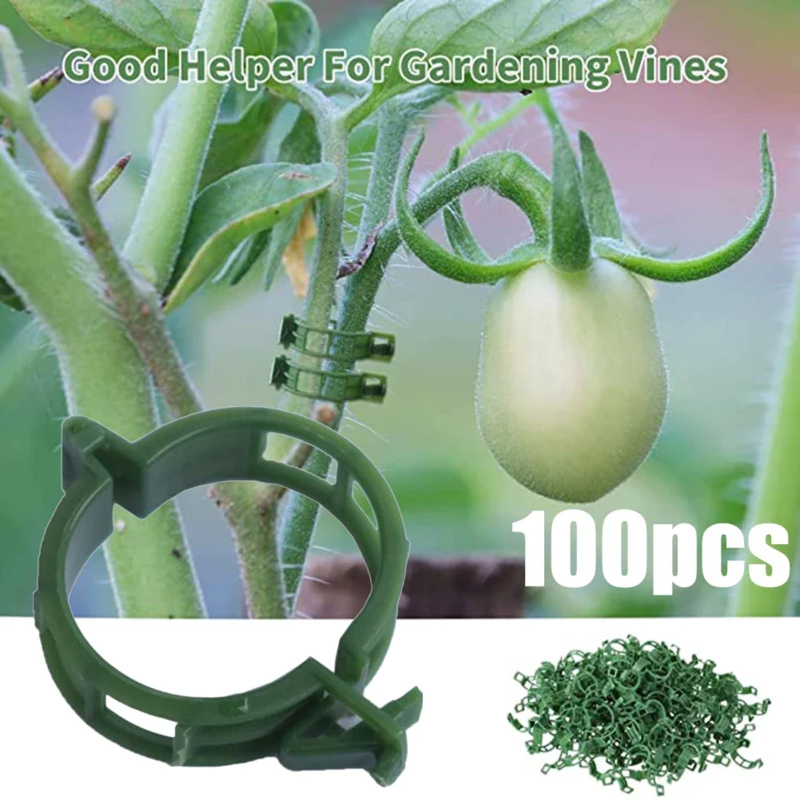 Plant Support Stake - 100 шт./зажим для поддержки растений, пластиковые