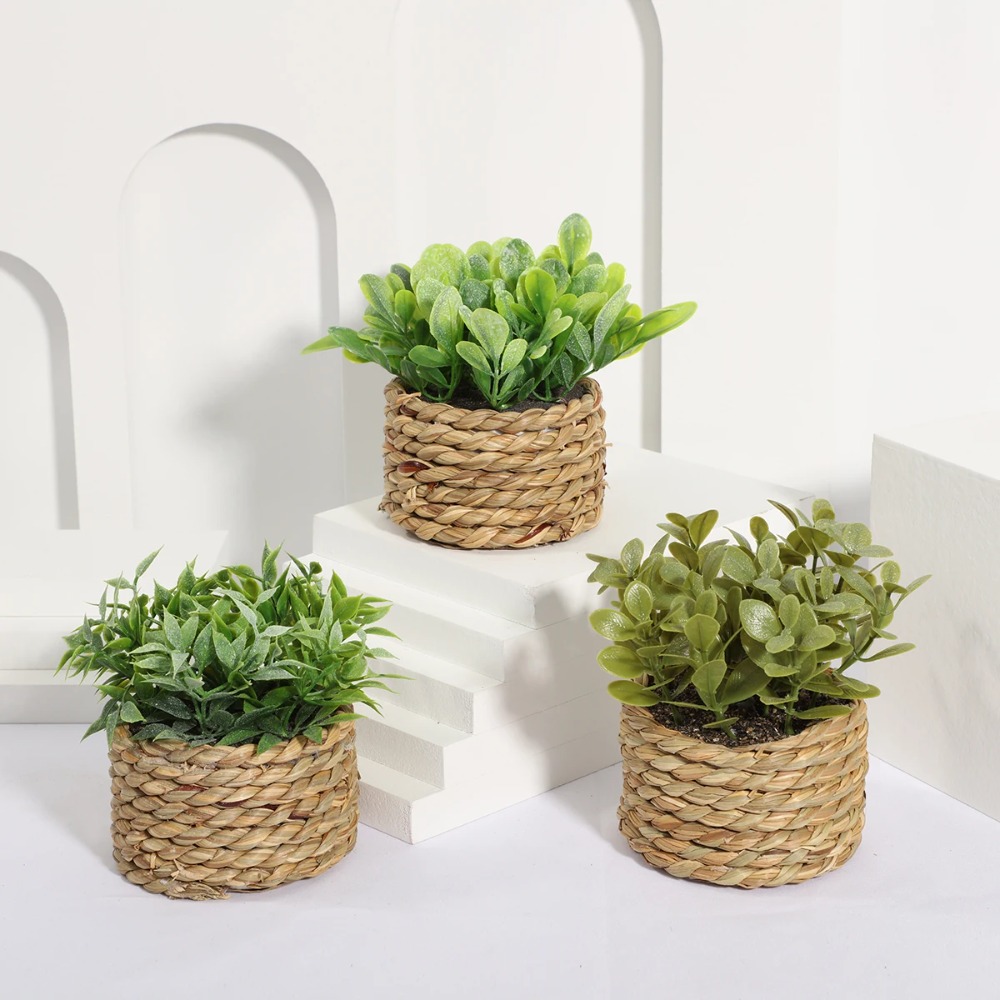 Succulent Set - Зеленое искусственное растение в горшках, эвкалиптовая