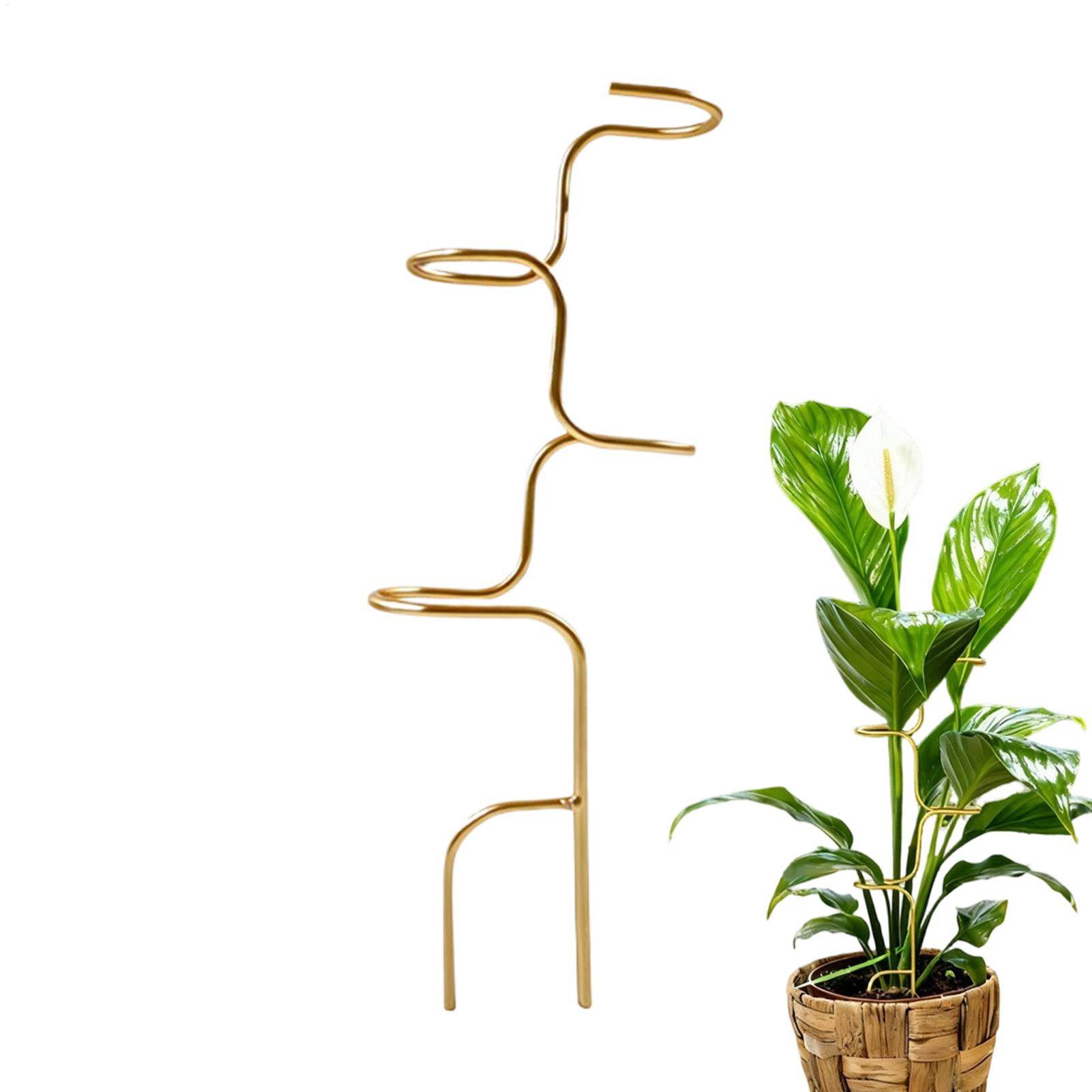 Plant Support Stake - Металлическая опорная рама для фиксации стеблей