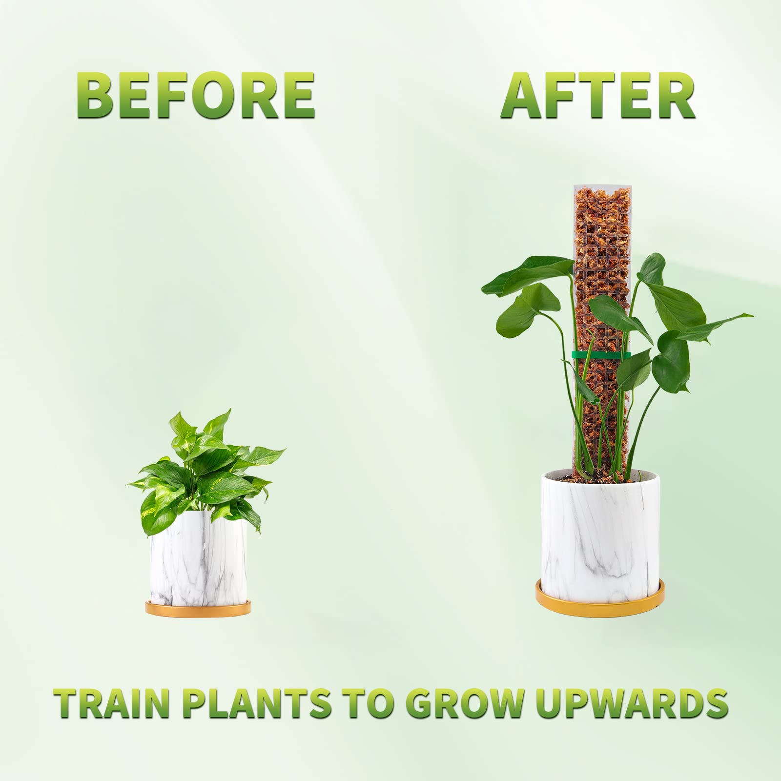 Моховые столбы, опора для раст – обзор и цена Plant Support Stake