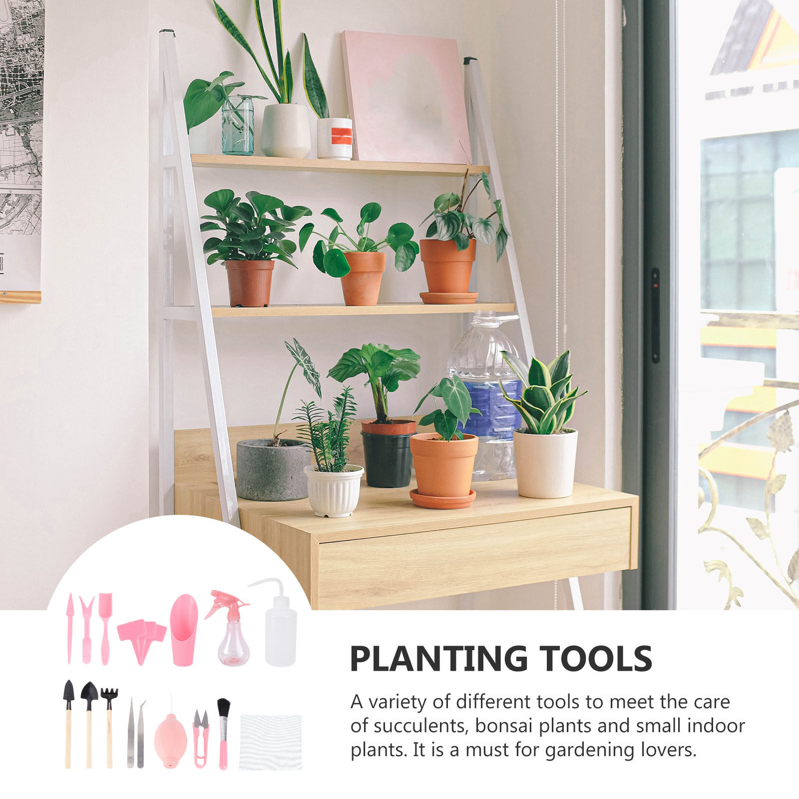 Набор мини-инструментов для по – обзор и цена Succulent Set