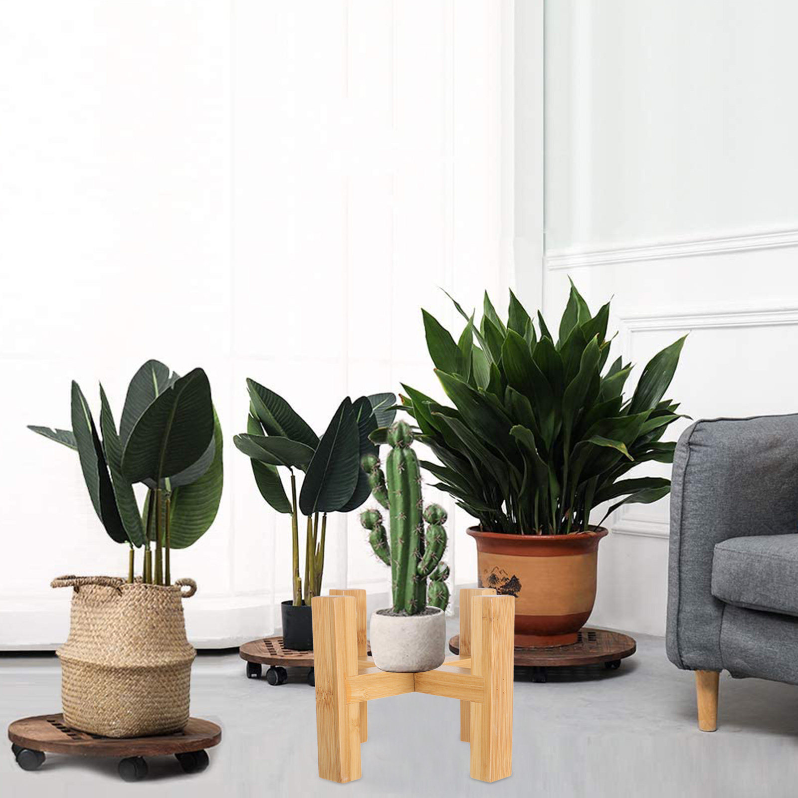 Прочная деревянная подставка д – обзор и цена Fiddle Leaf Fig