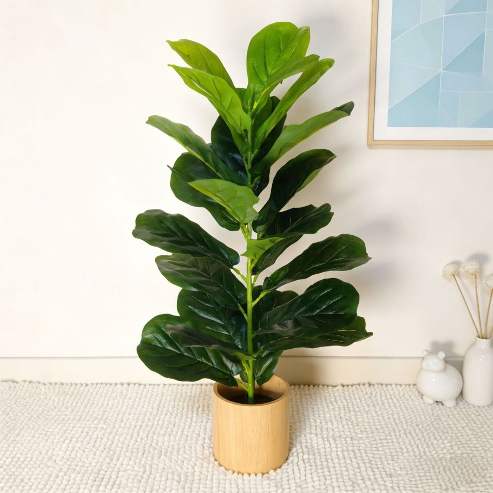 Искусственное дерево фикус из  – обзор и цена Fiddle Leaf Fig