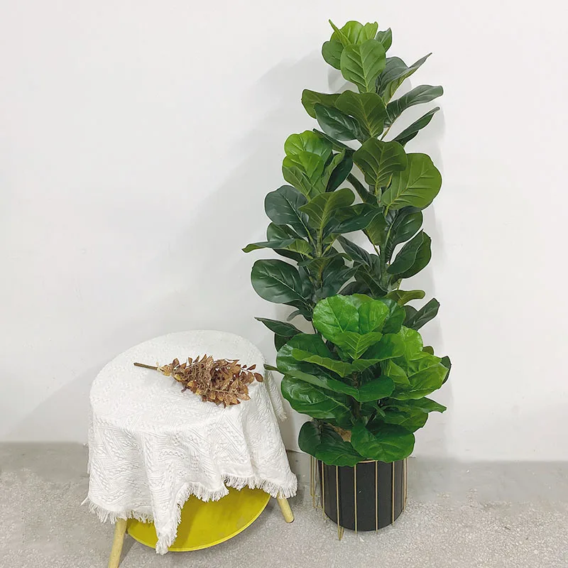 Искусственное тропическое дере – обзор и цена Fiddle Leaf Fig
