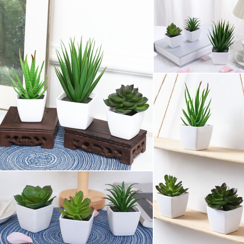 (Набор из 3 шт.) Имитация мини – обзор и цена Succulent Set