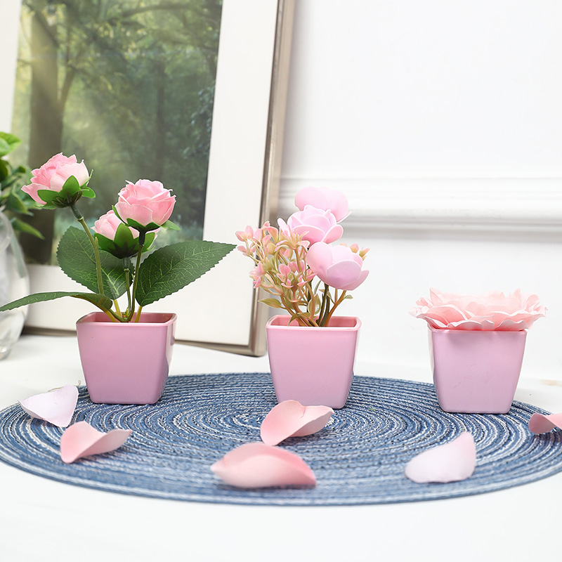(Набор из 3 шт.) Имитация мини – обзор и цена Succulent Set