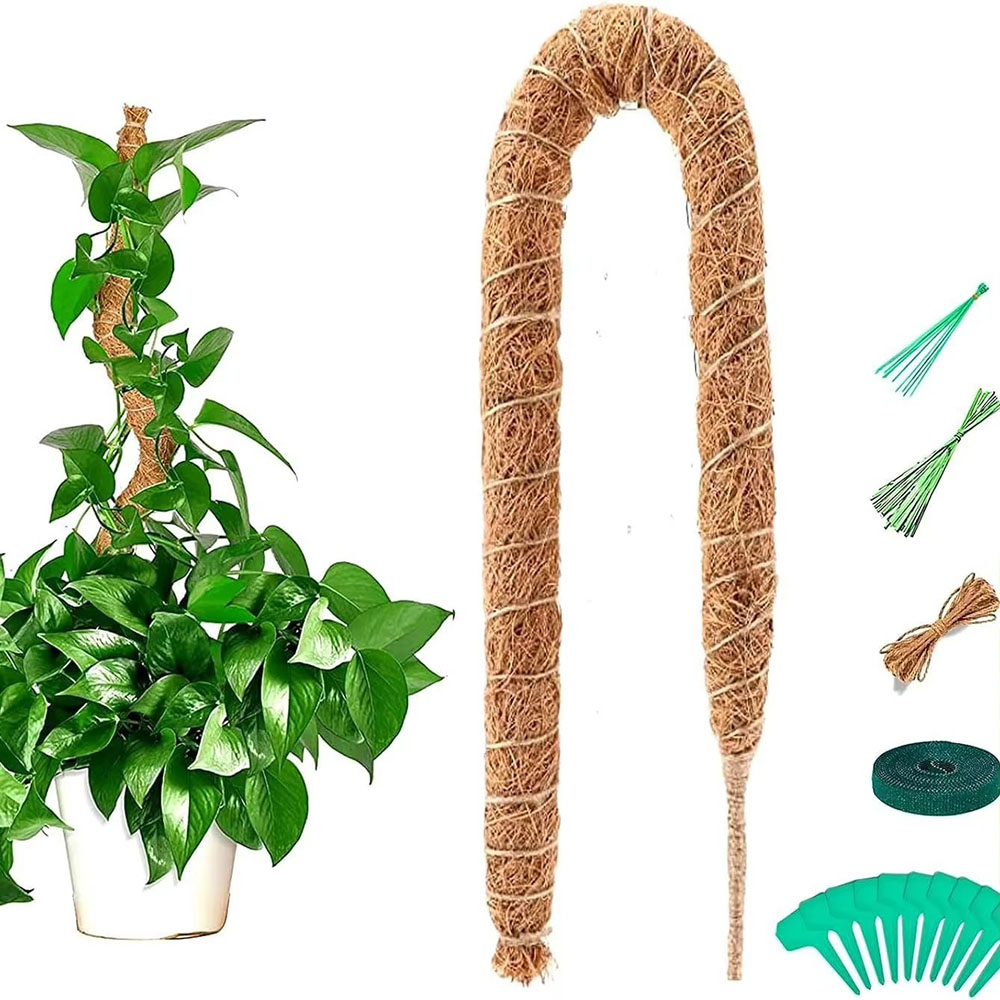Опора для растений из кокосово – обзор и цена Pothos