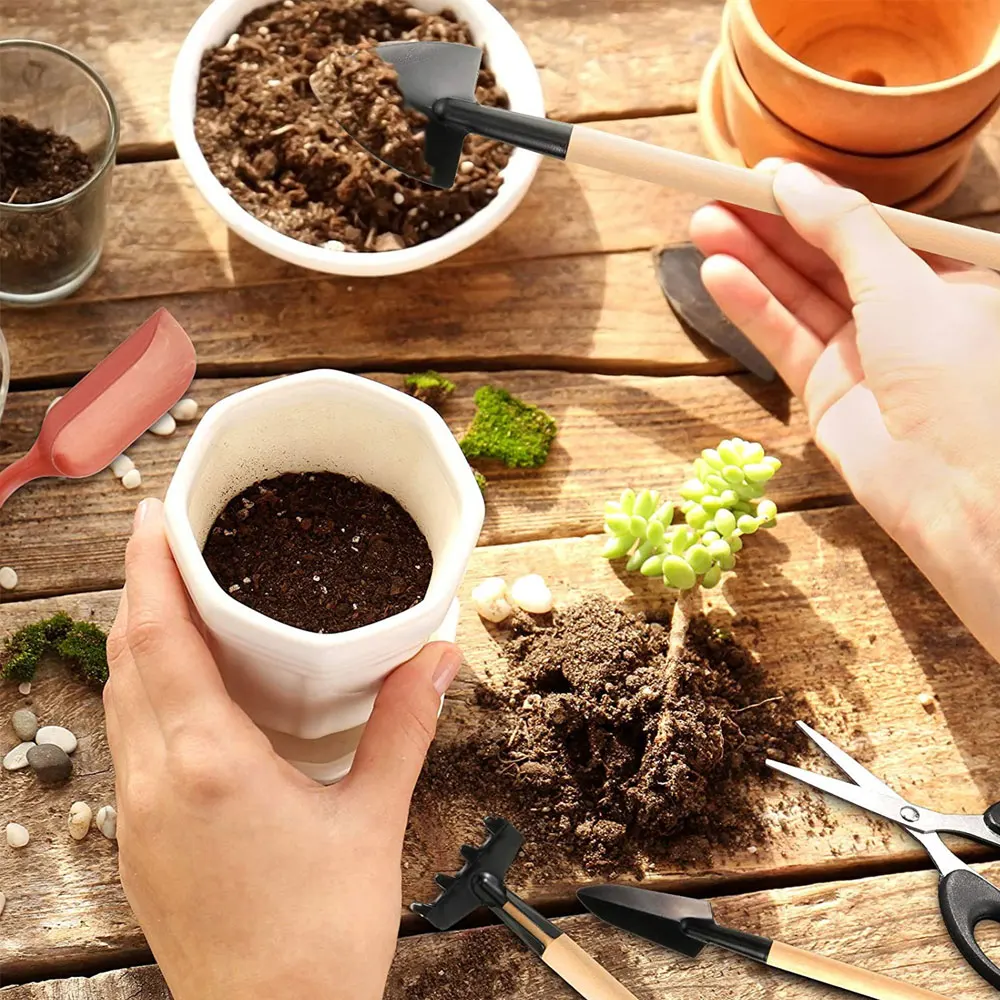 13 шт., набор инструментов для – обзор и цена Succulent Set