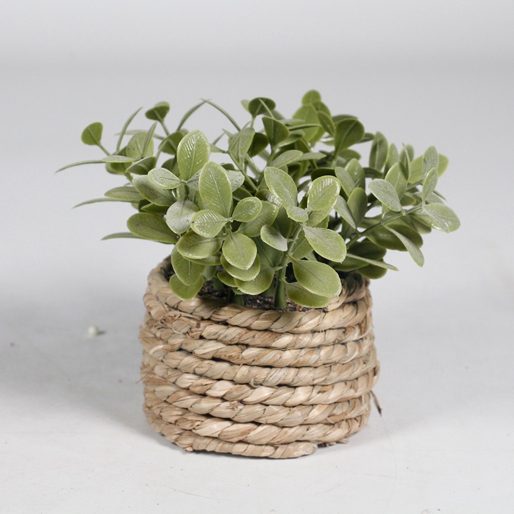 Зеленое искусственное растение – обзор и цена Succulent Set