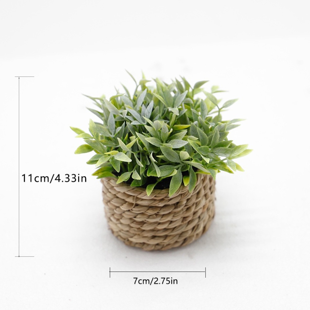 Зеленое искусственное растение – обзор и цена Succulent Set