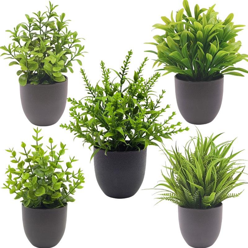 Искусственное зеленое растение – обзор и цена Succulent Set